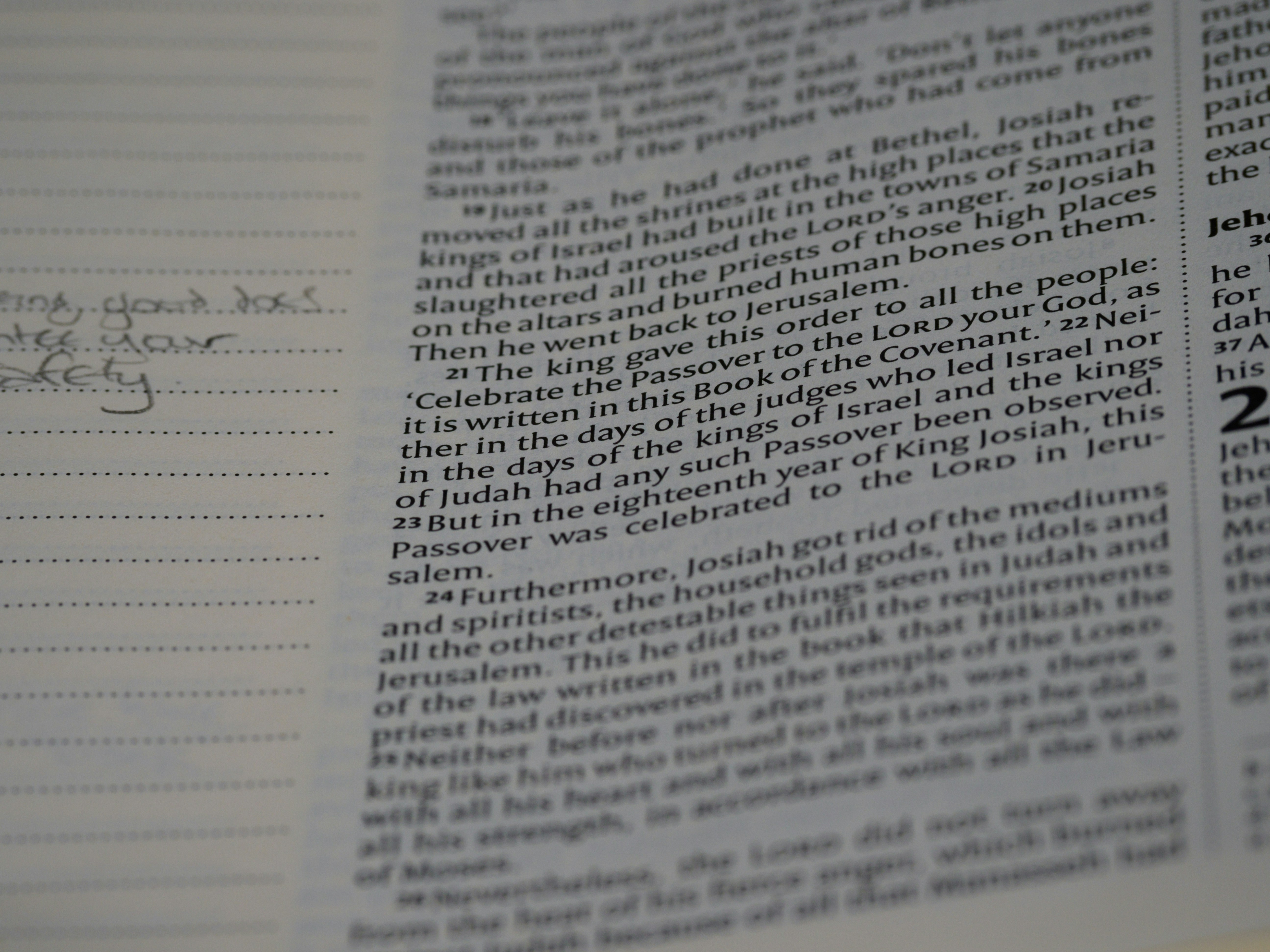 Photo by brett_jordan