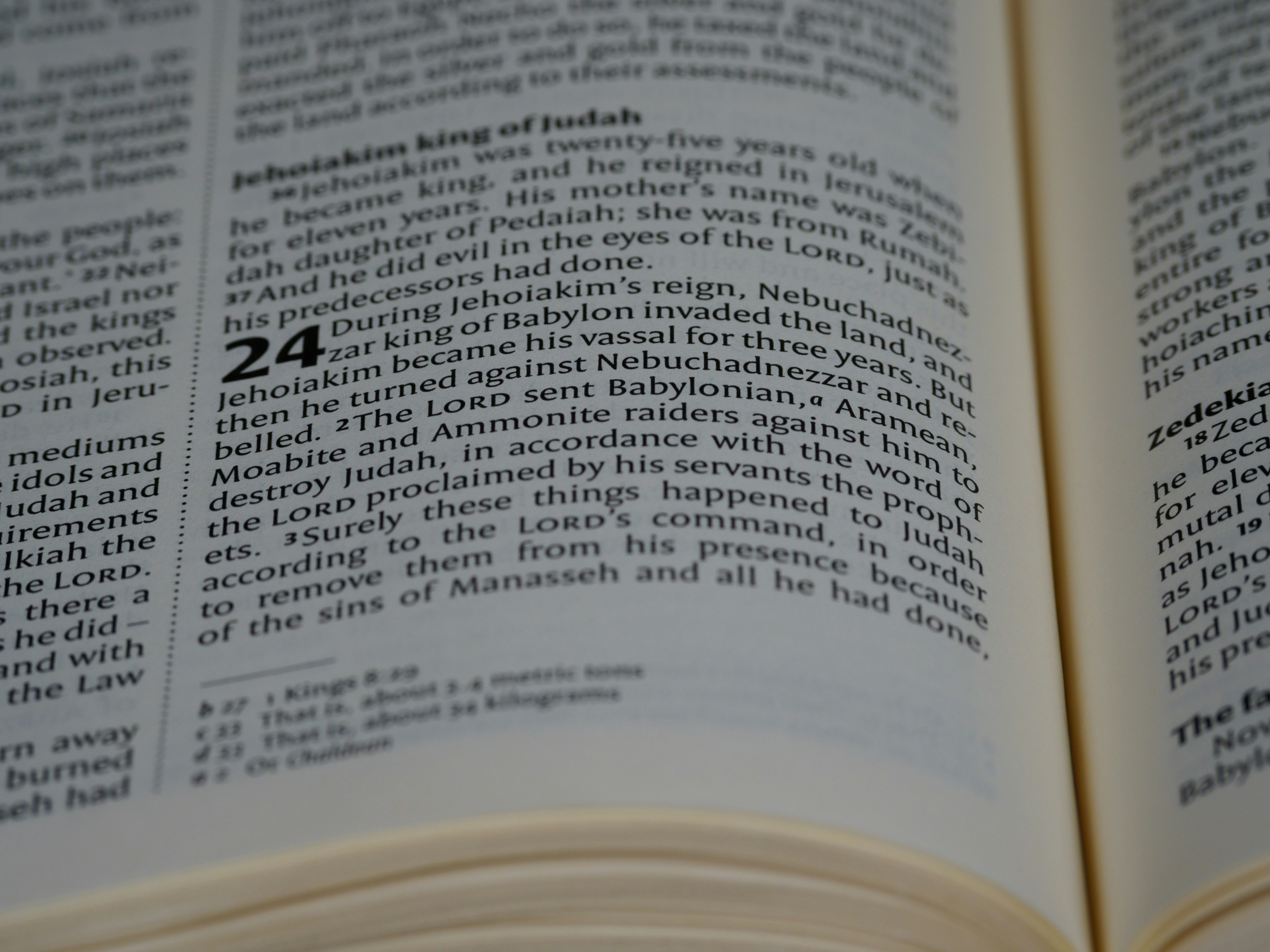 Photo by brett_jordan