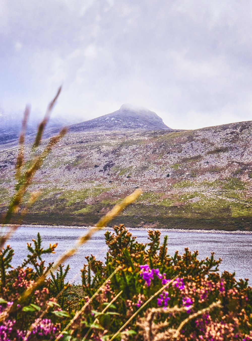 green mountain near body of water during daytime