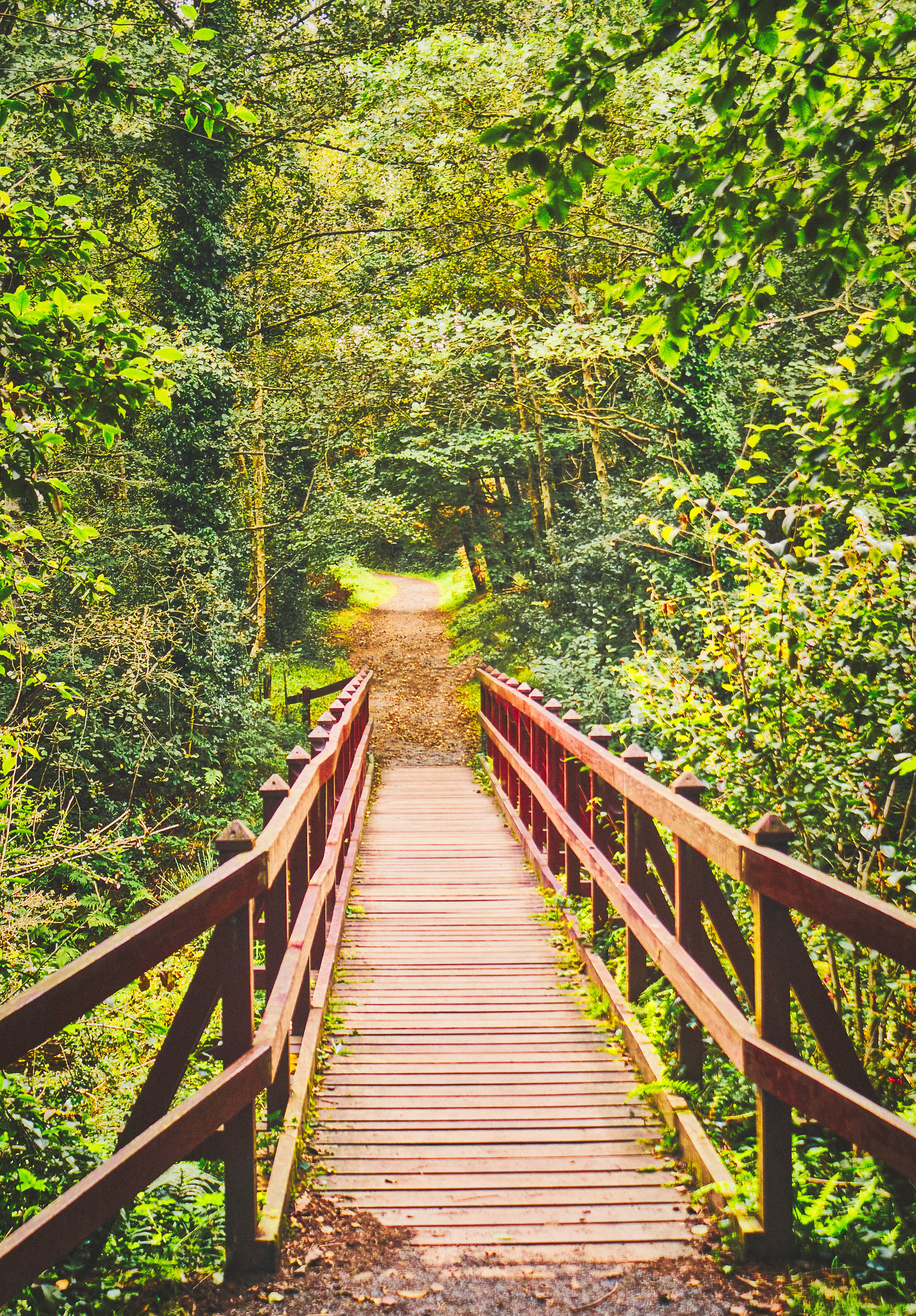 A wee bridge over a stream that feeds the Silent Valley Reservoir in the Mourne Mountains in County Down (Sep., 2020).