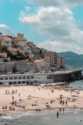 people on beach during daytime