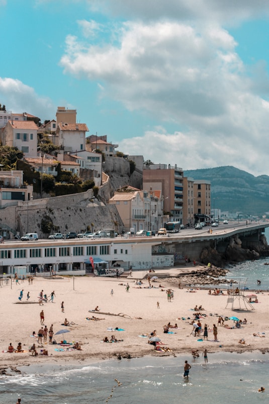 people on beach during daytime