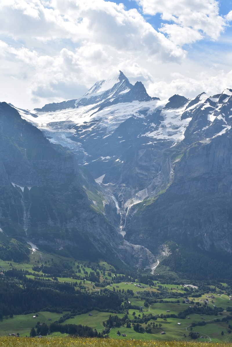 Grindelwald valley in summer with lush green meadows and alpine chalets