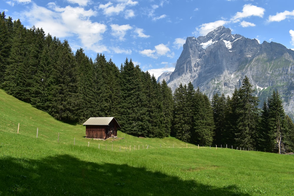 brown wooden house on green grass field near green trees and mountain under blue and white