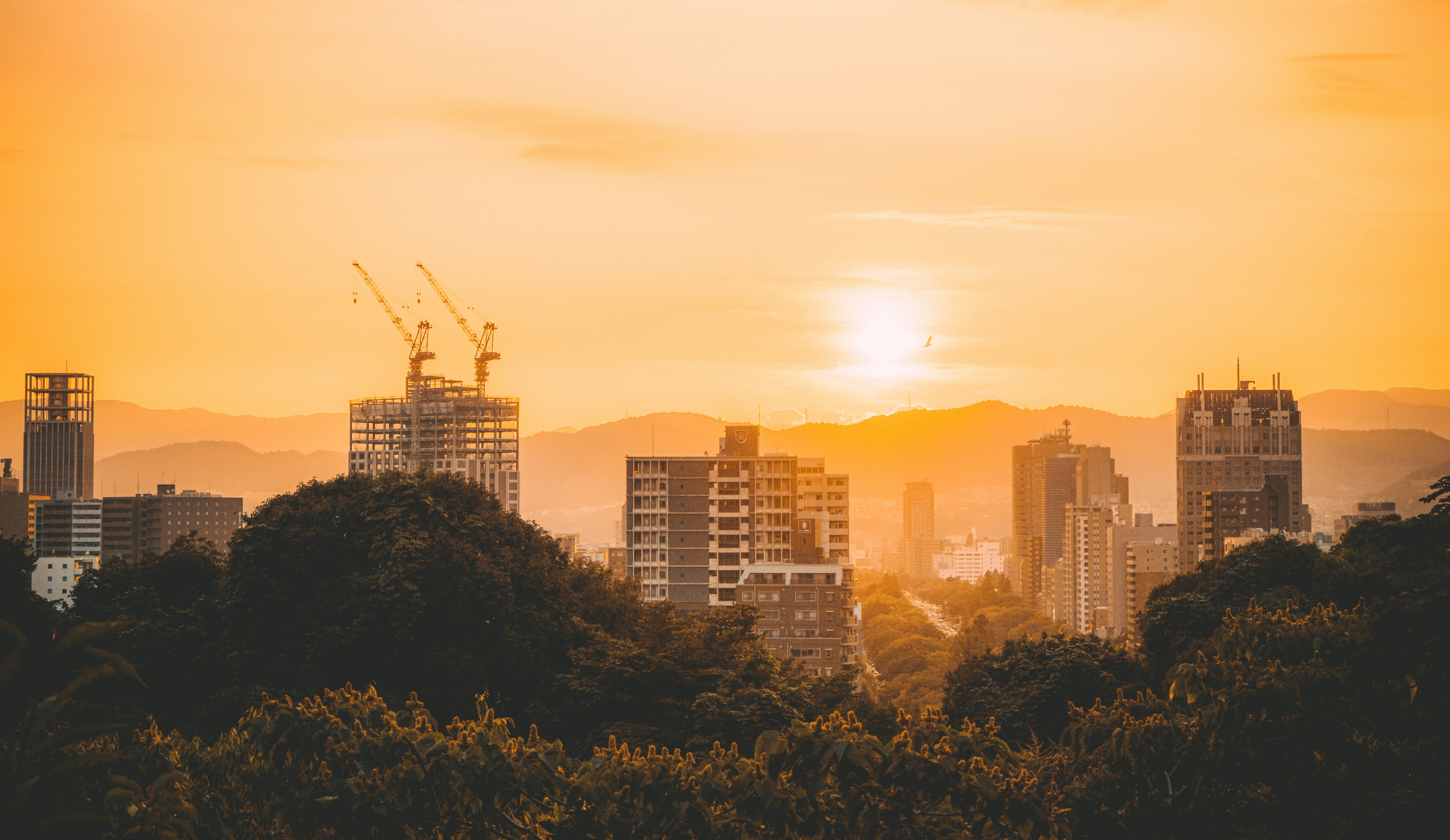 Photo by cosmonaut647