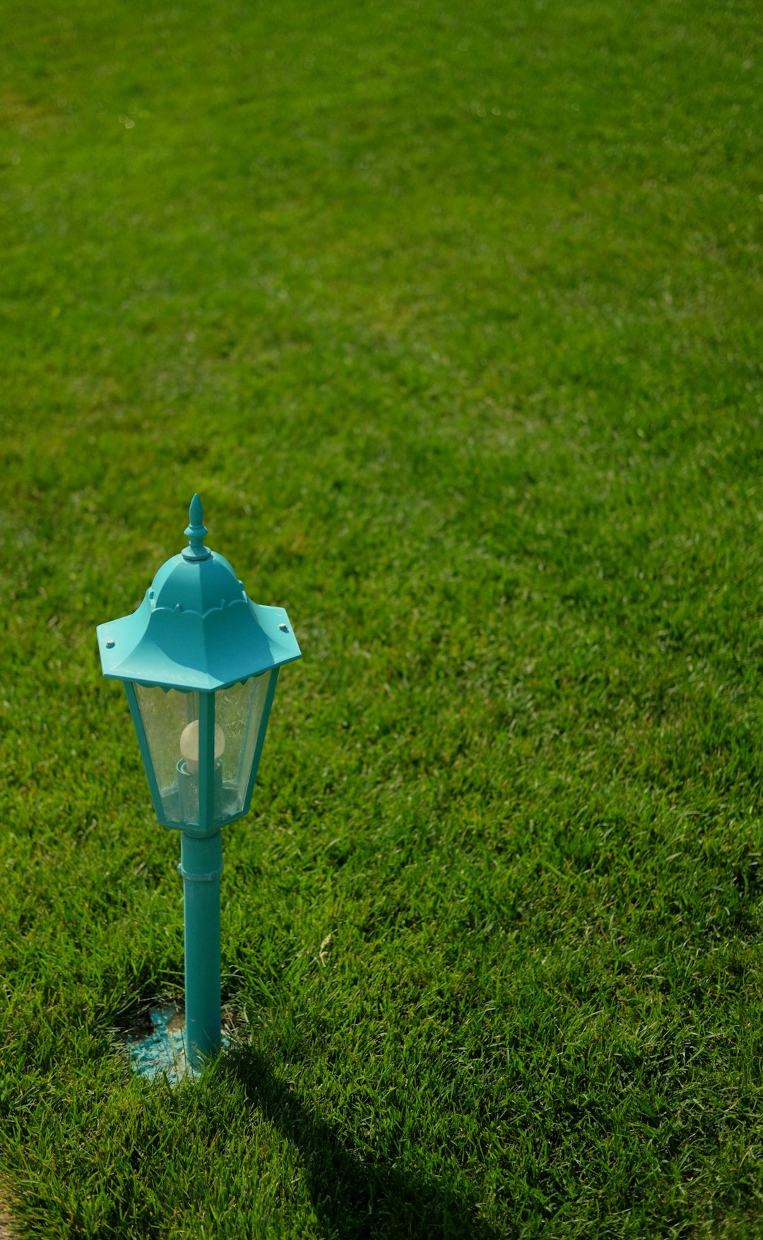 blue and white plastic toy on green grass field during daytime