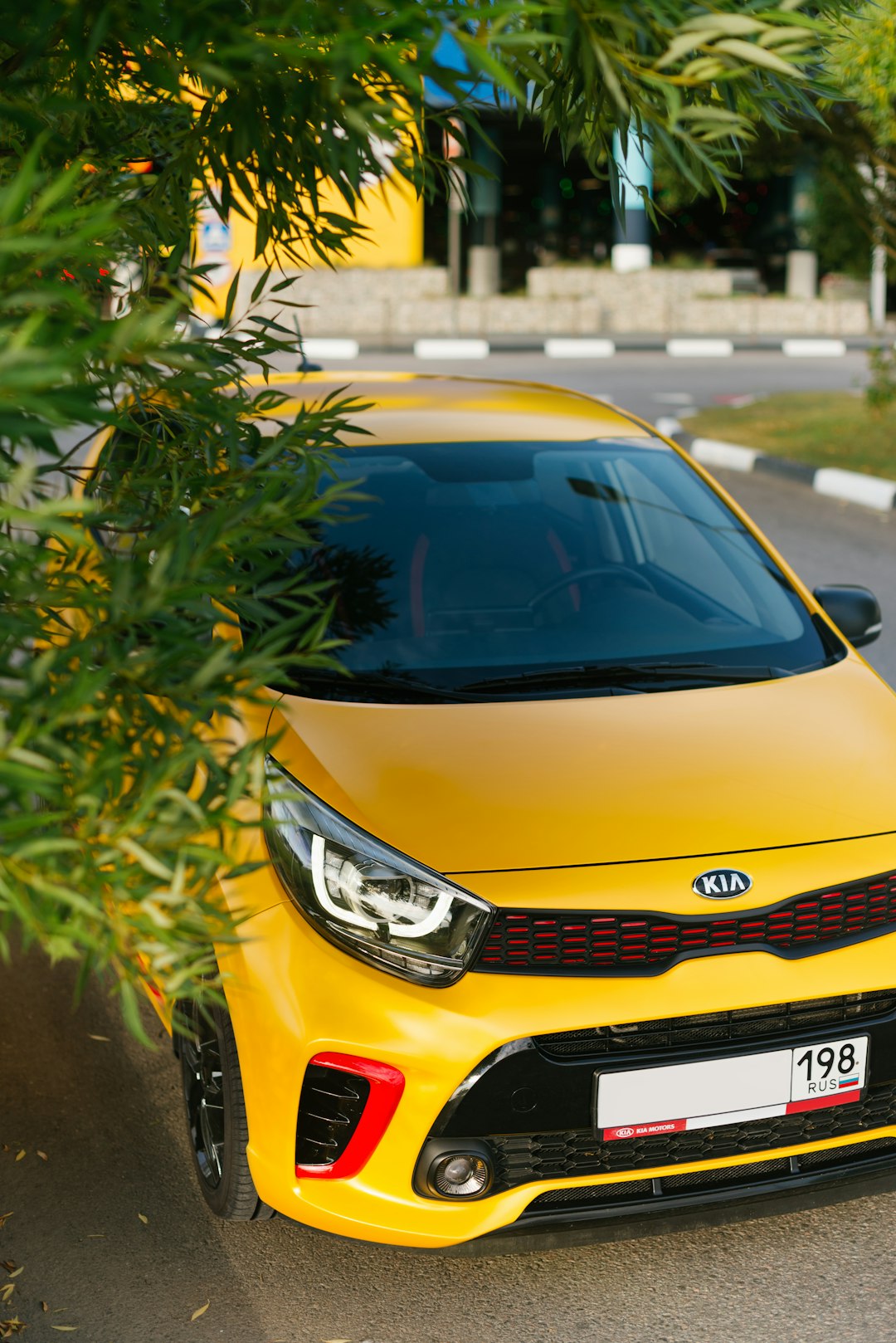 yellow car parked near green tree during daytime