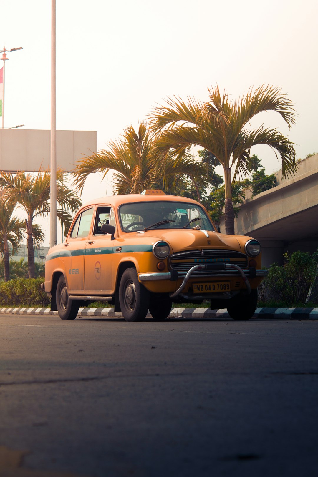 yellow and black chevrolet classic car on road near palm trees during daytime