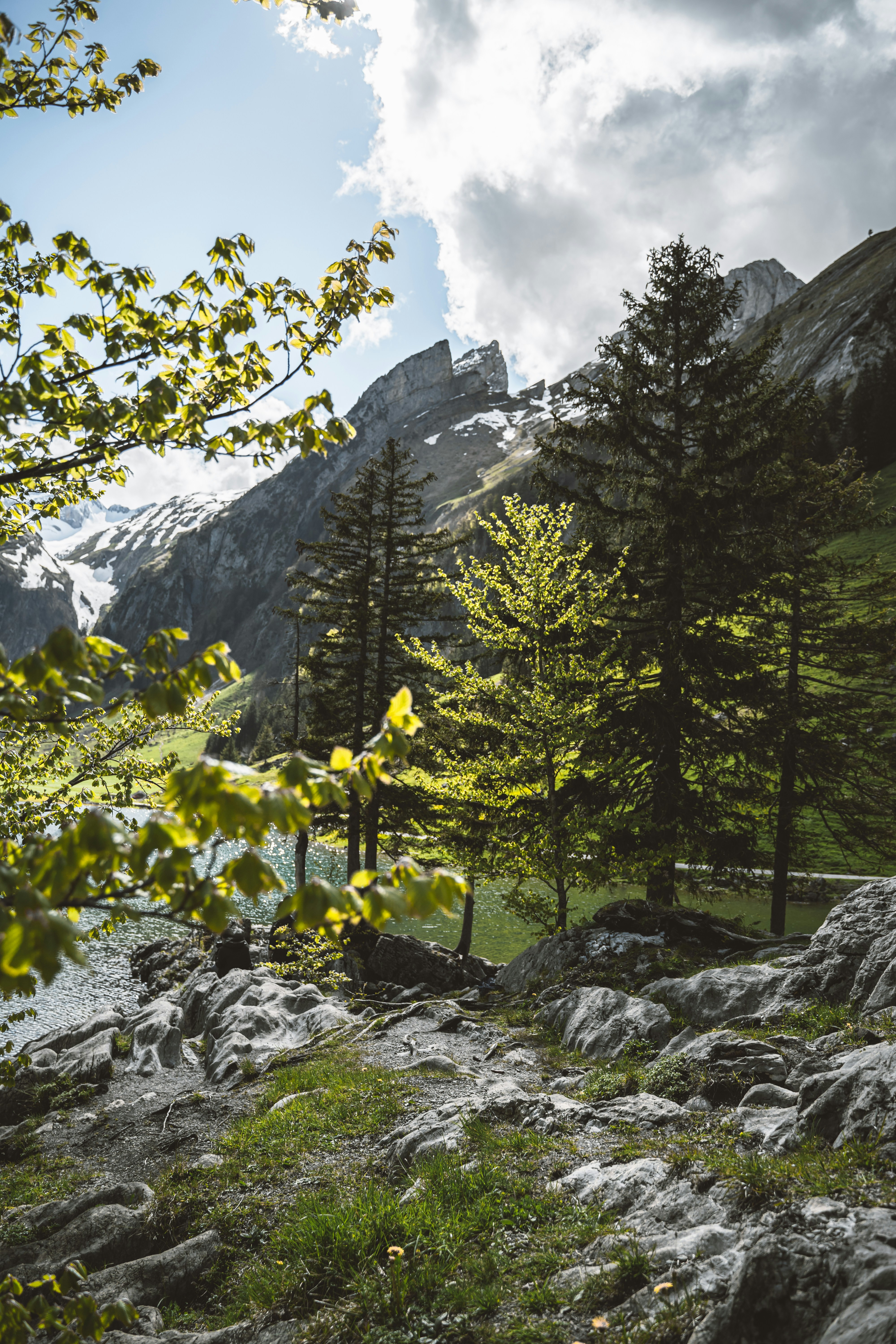 Photo by simara_bernardo