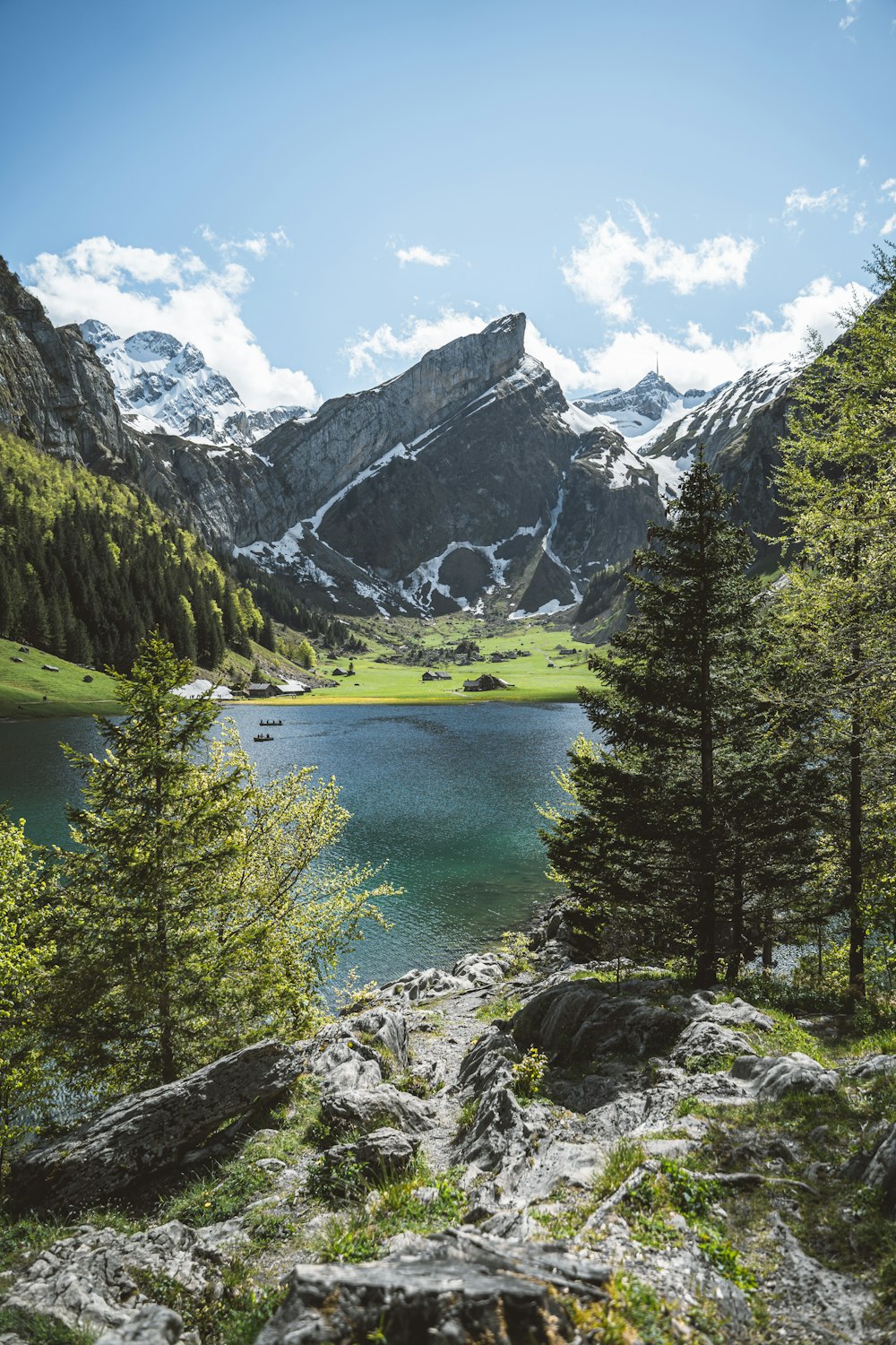 Grüne Kiefern in der Nähe von See und Bergkette