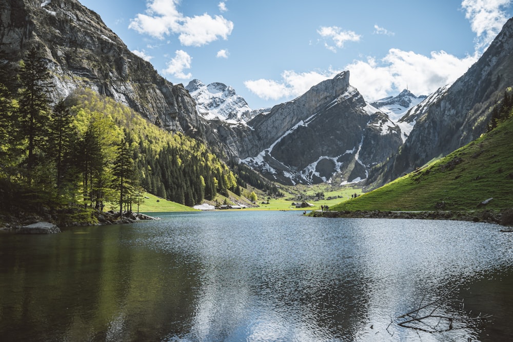 green trees near lake and mountains during daytime