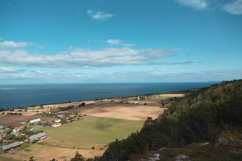 green trees and brown field under blue sky during daytime