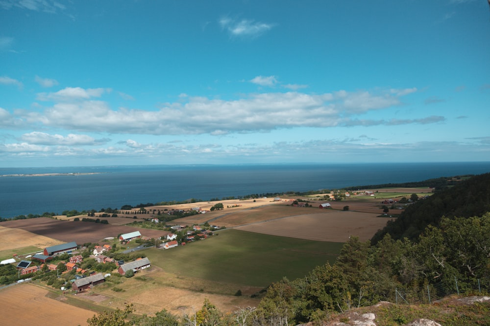 vista aérea de árvores verdes e corpo de água durante o dia