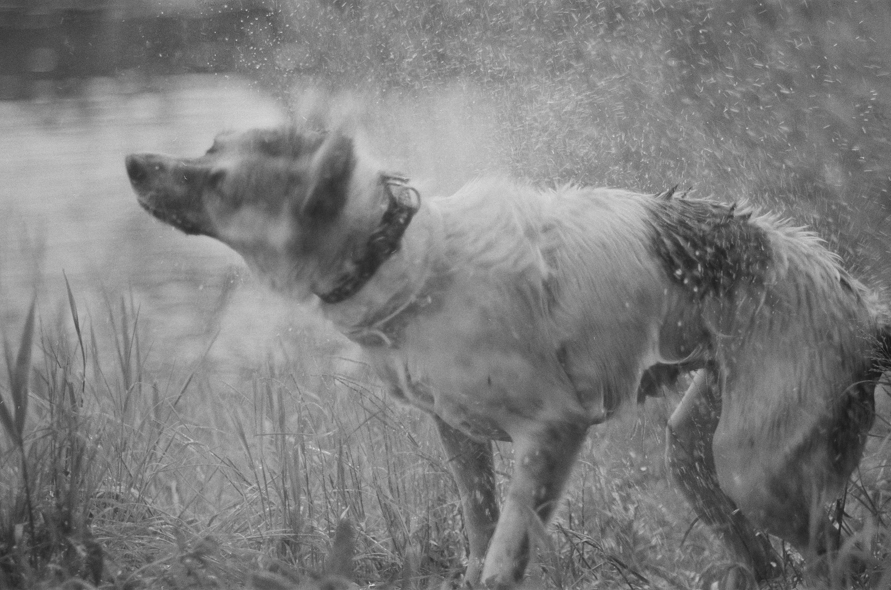 Photo by kasparseglitis