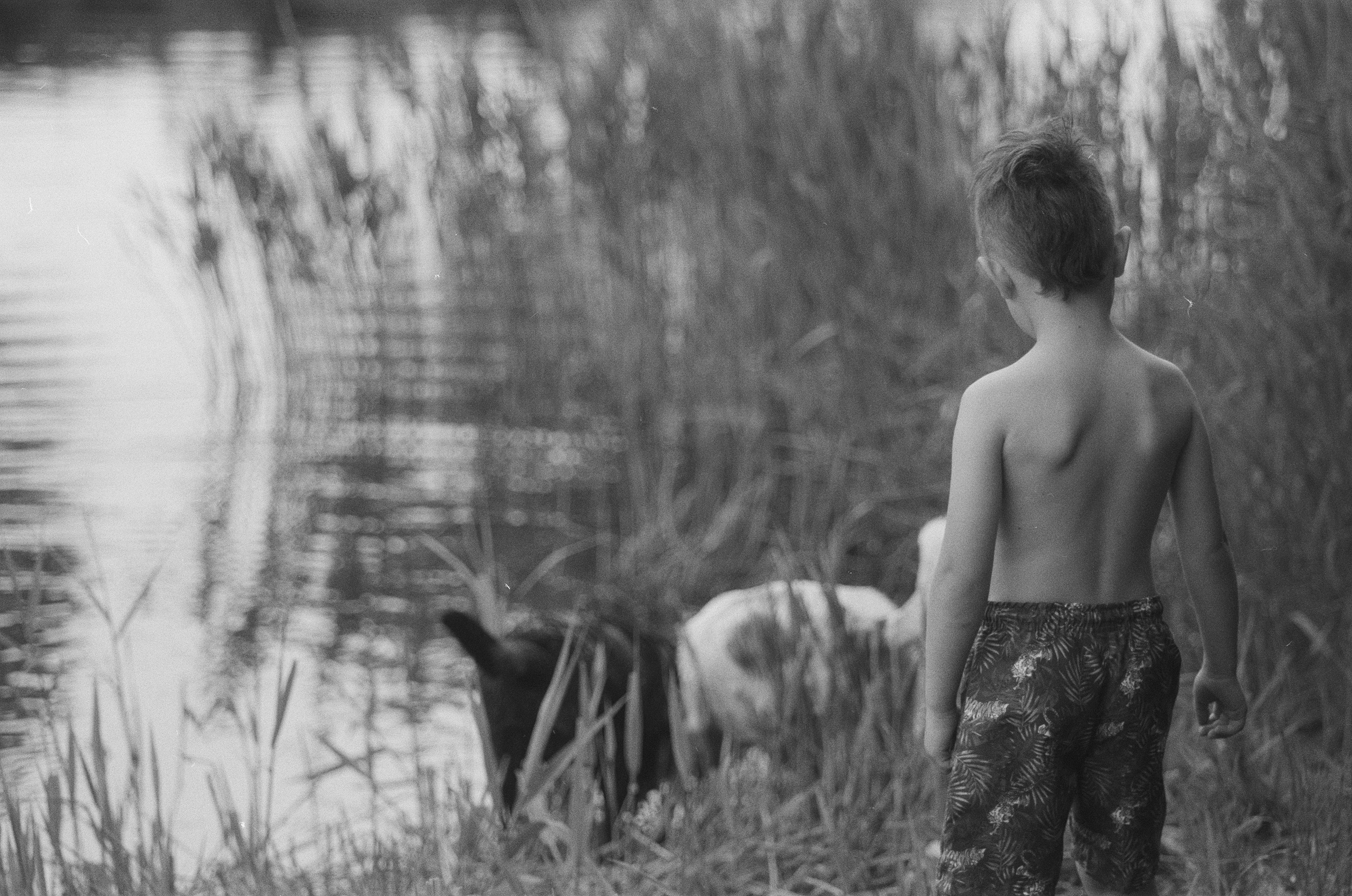 Photo by kasparseglitis