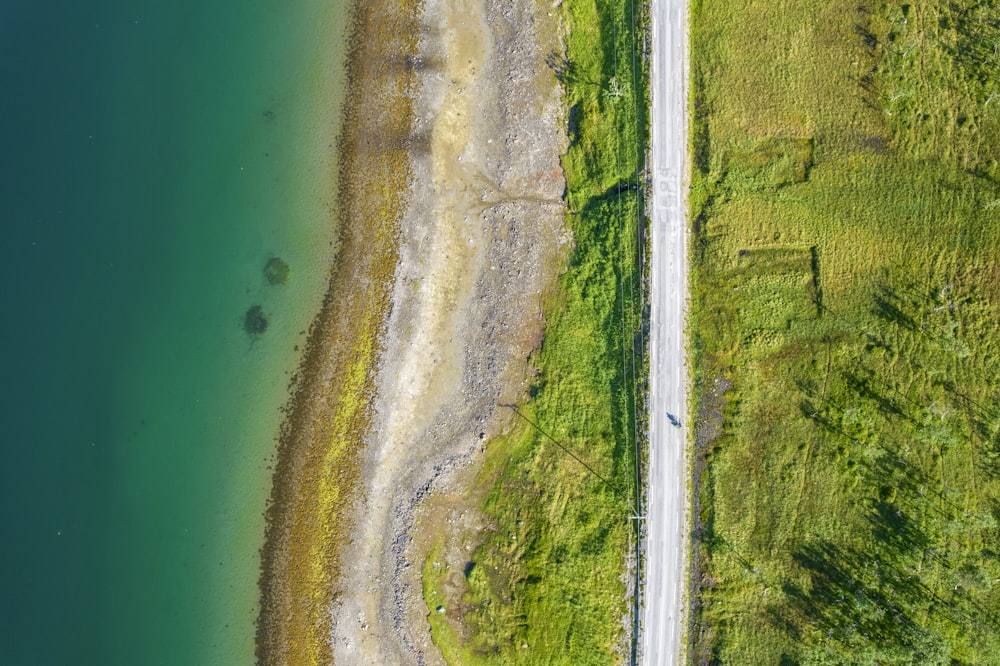 Vista aérea de un campo verde y marrón al lado del cuerpo de agua durante el día