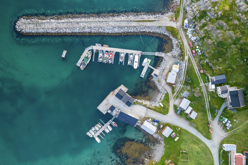 aerial view of white and blue boat on water during daytime