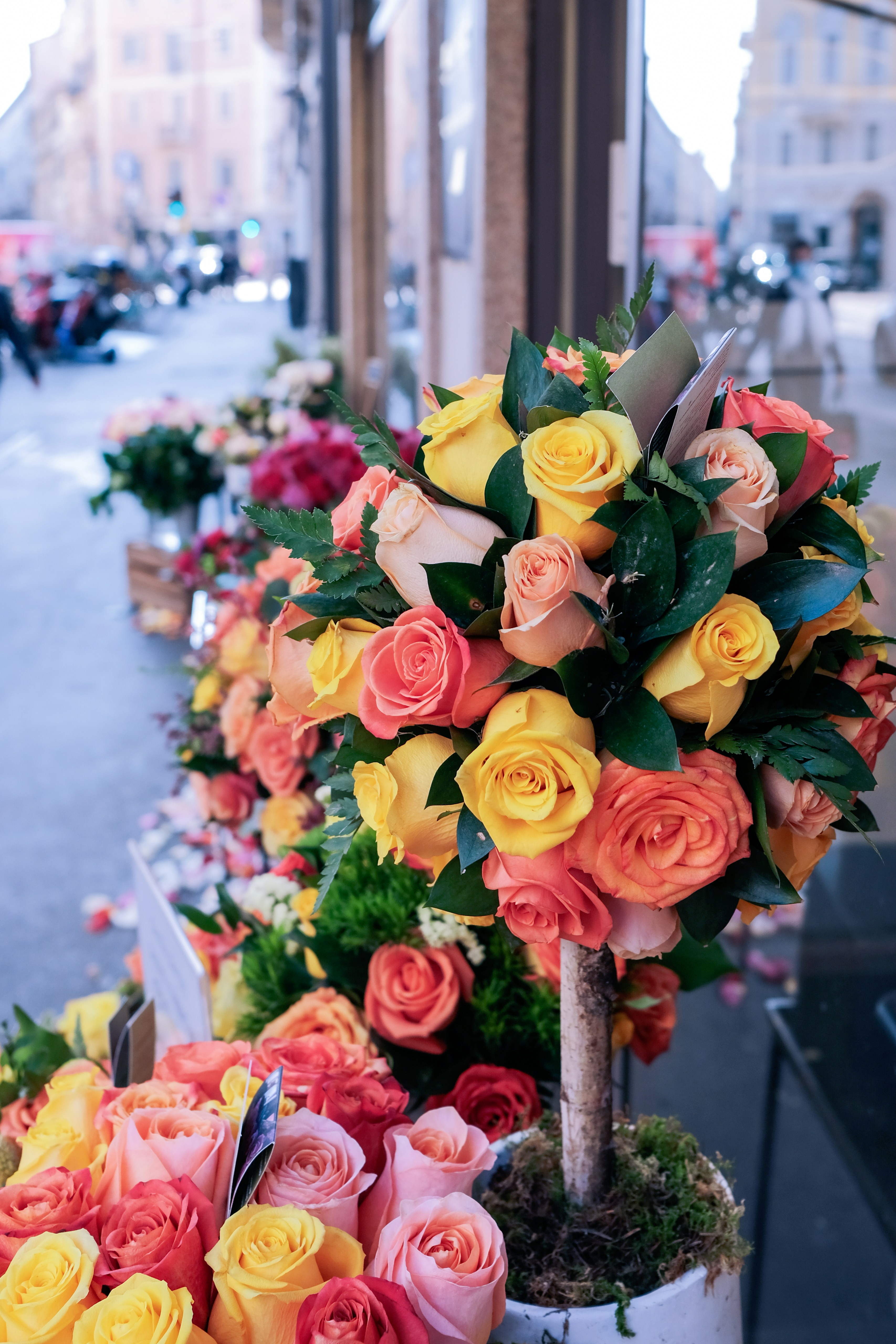 Fresh Blooming Flowers