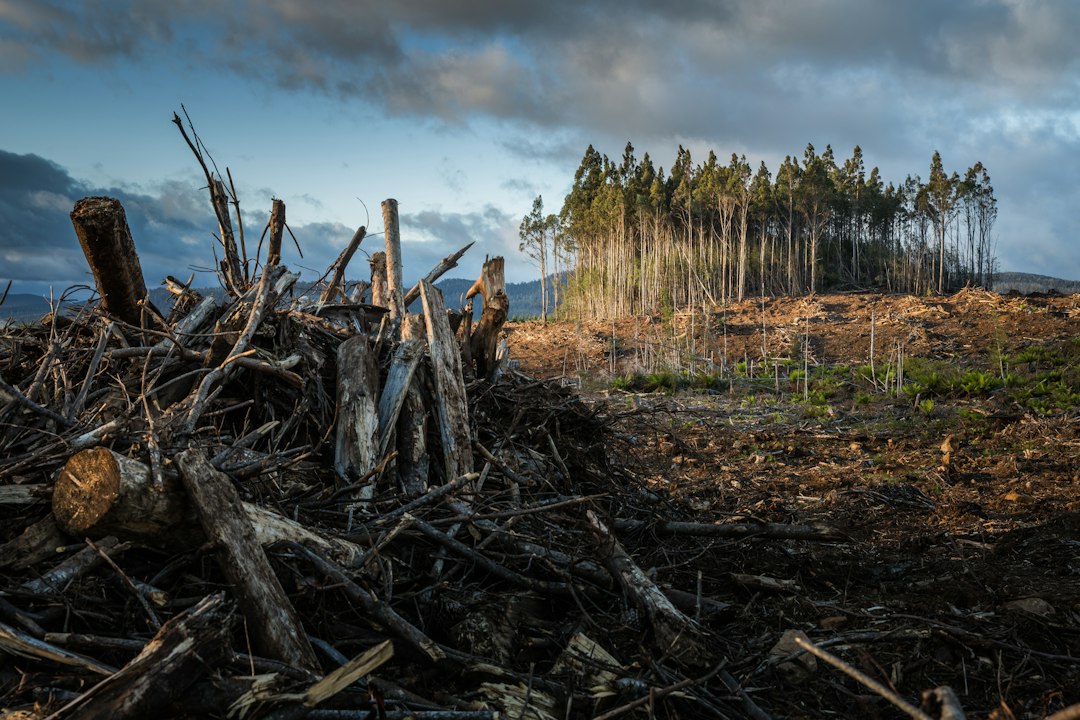 Why Stopping Global Warming Challenges Deep Human Patterns - Where… — Why Stopping Global Warming Challenges Deep