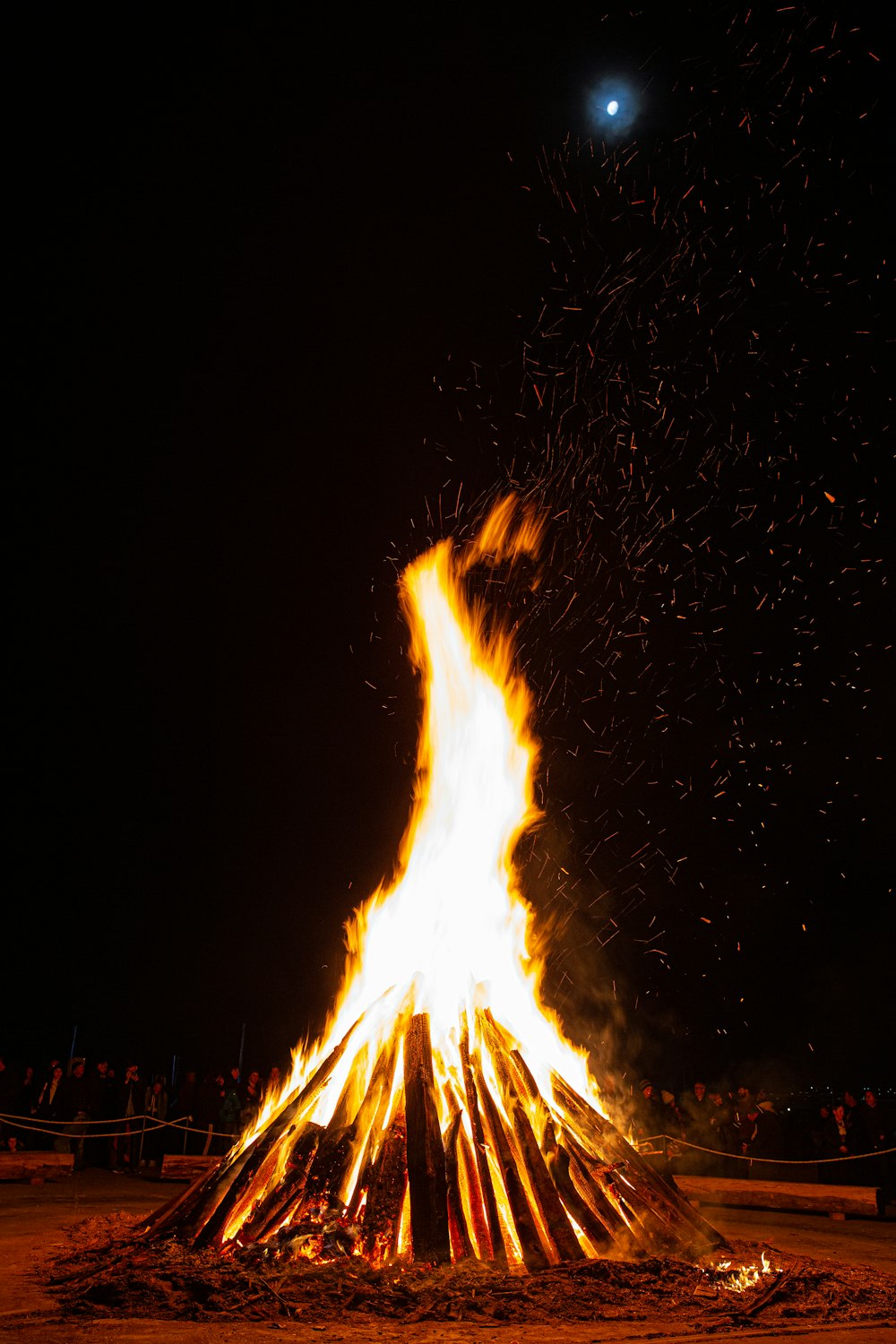 fire in the middle of the woods during night time