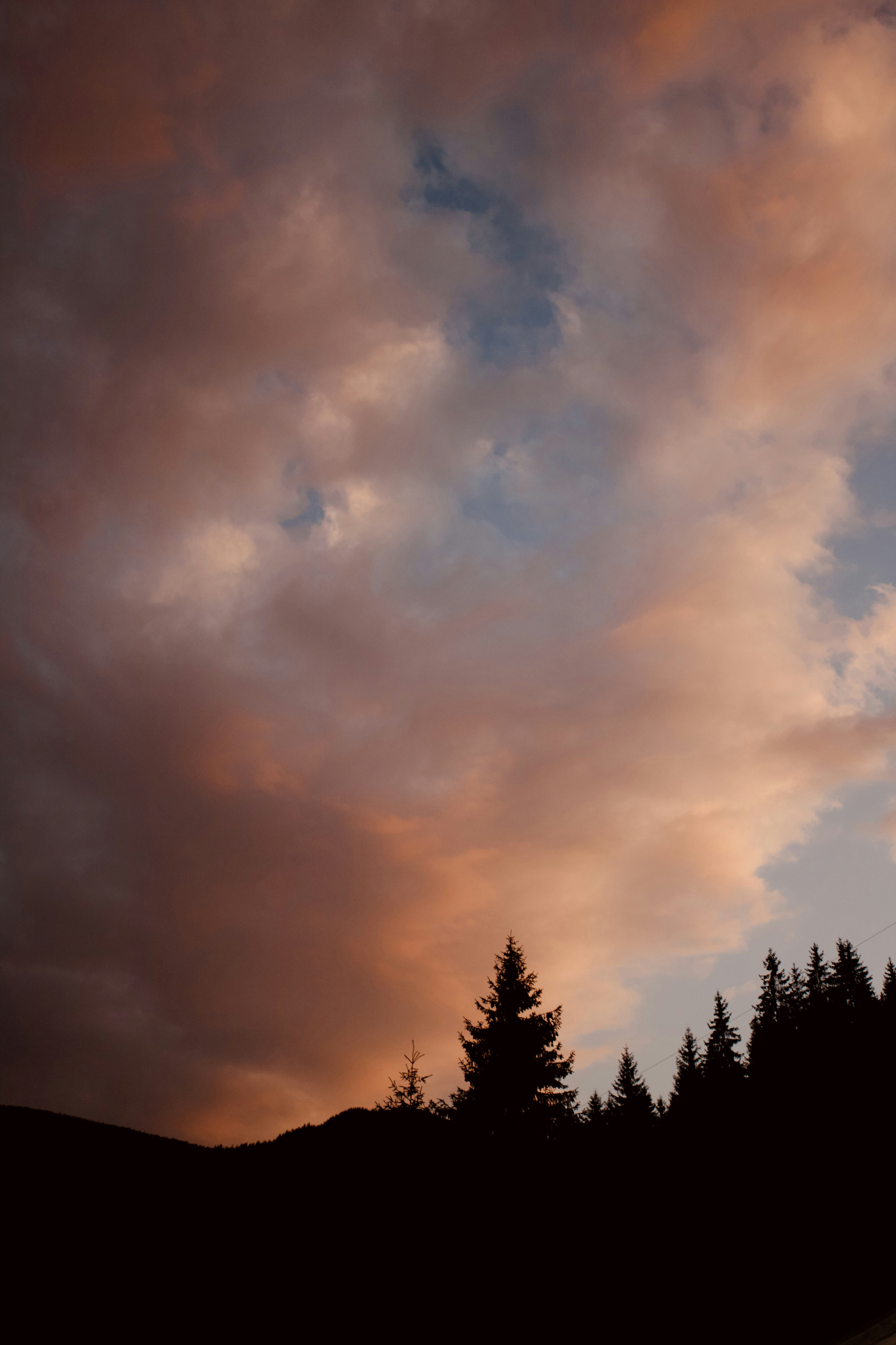 Photo by davidguliciuc