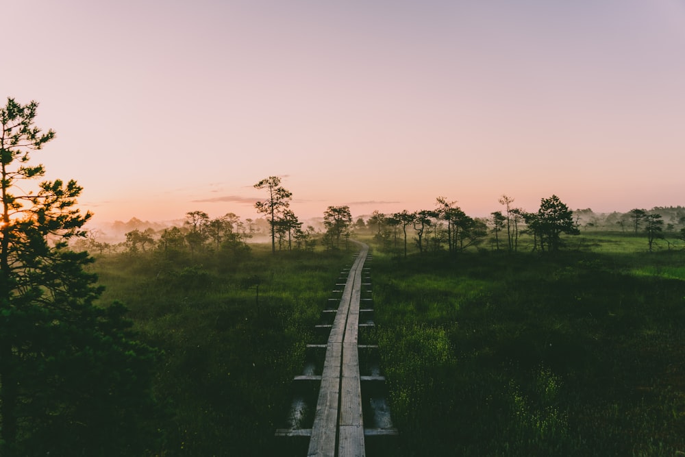 gray concrete road between green grass field during sunset