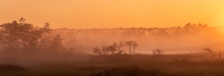 Golden sunrise over a quiet Florida marsh with mist rising from the water.