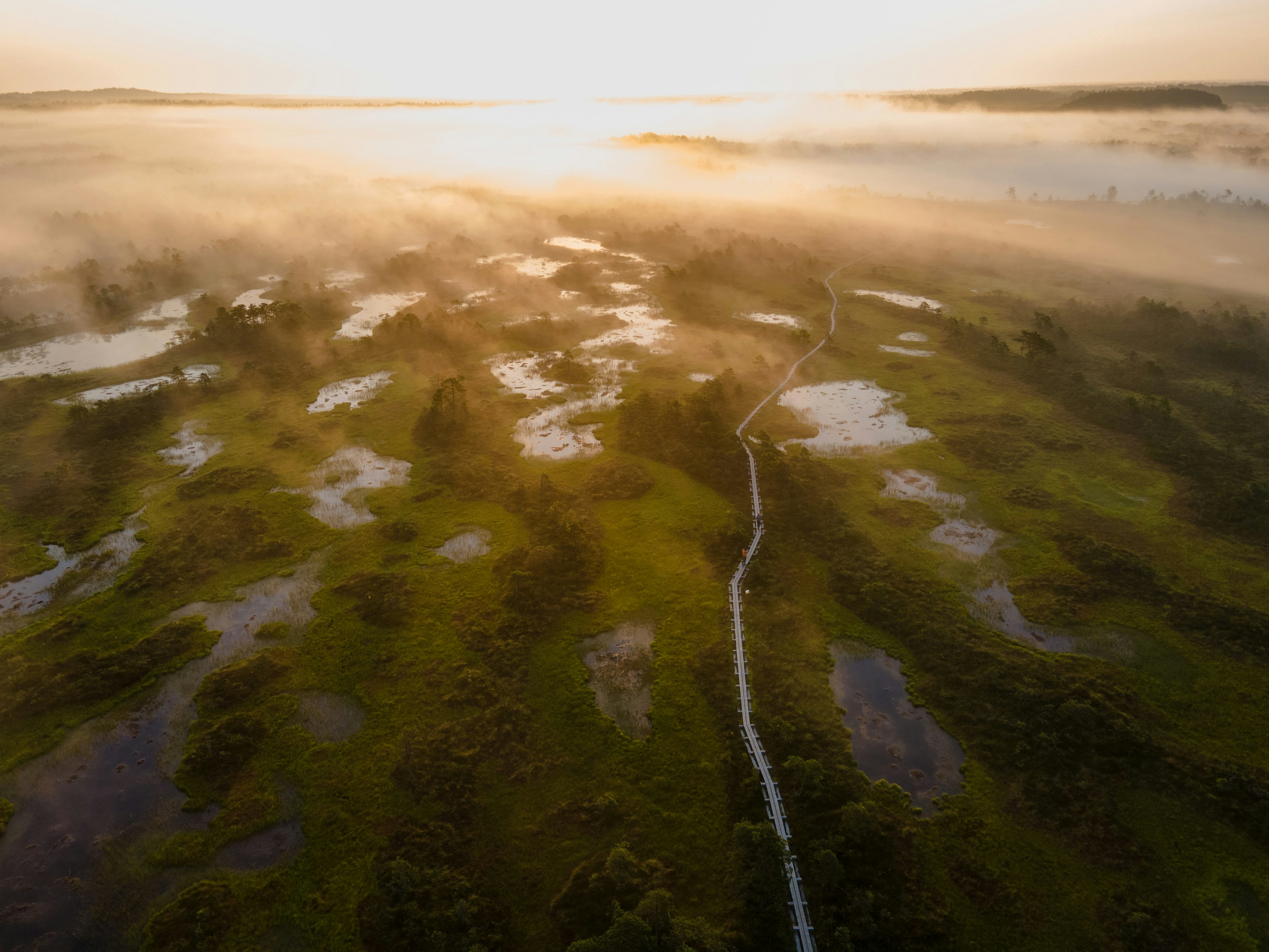 Photo by janekvaldsalu