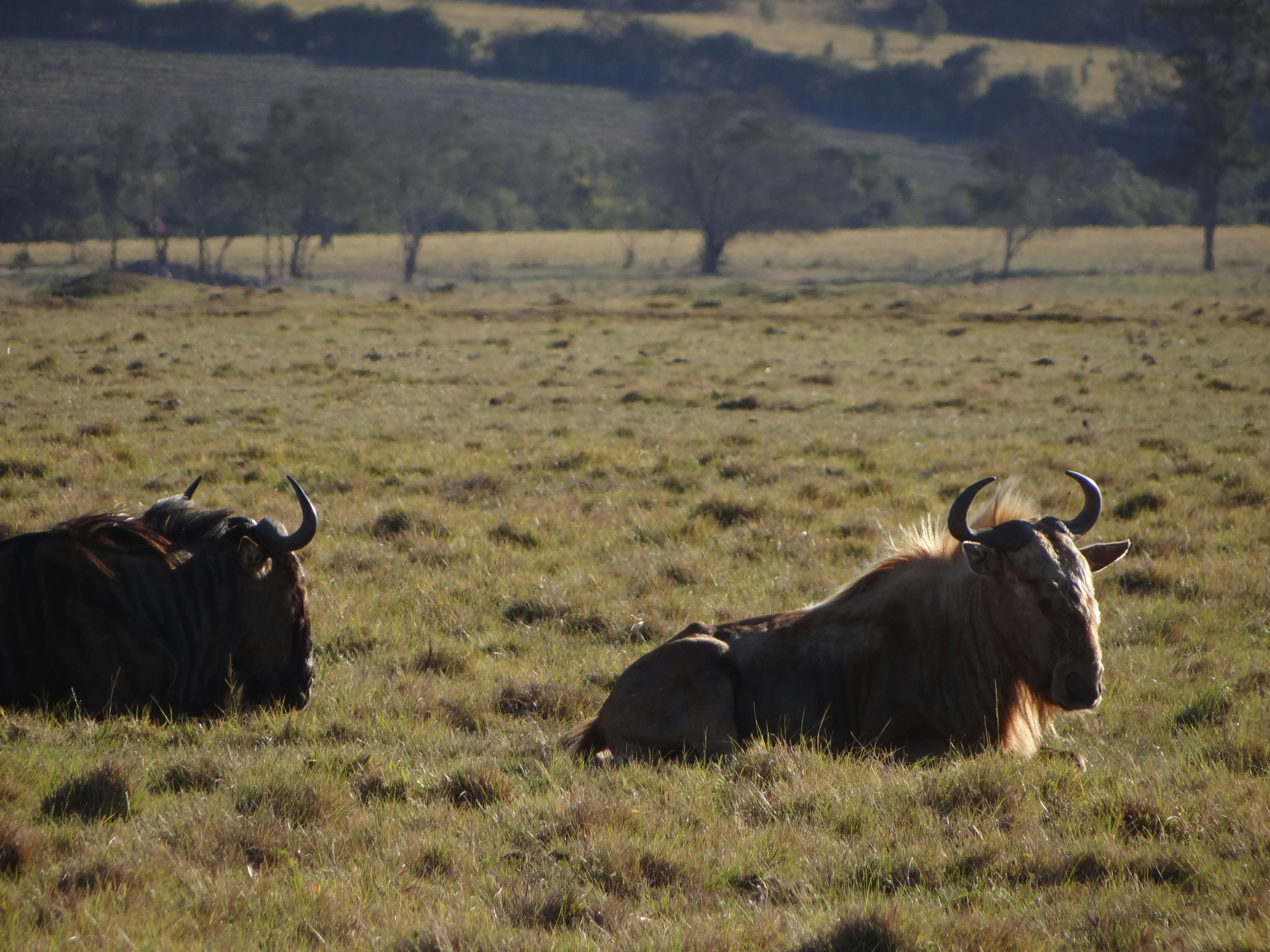 Photo by julia_fiander