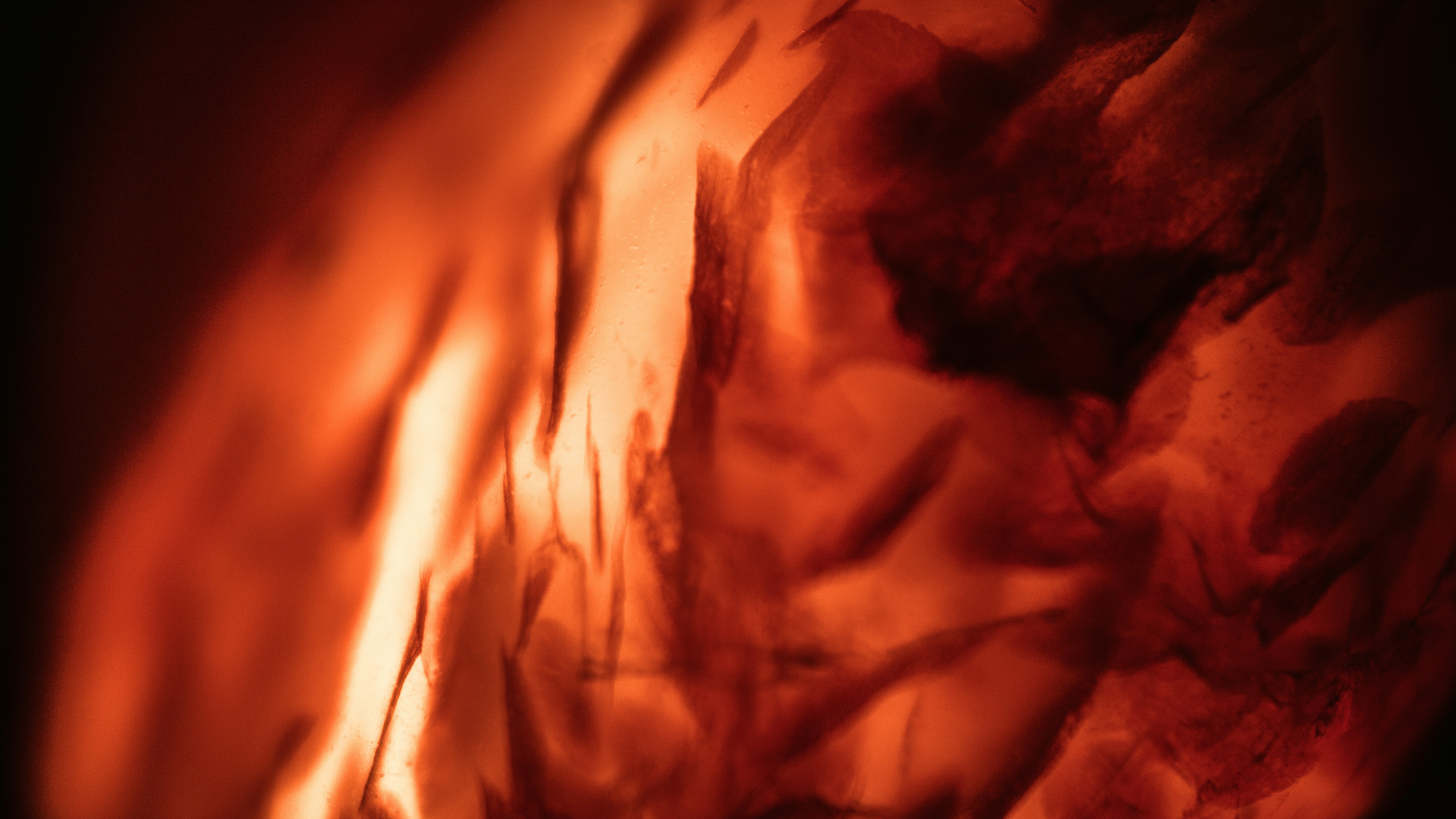 tessuto marrone in primo piano immagine