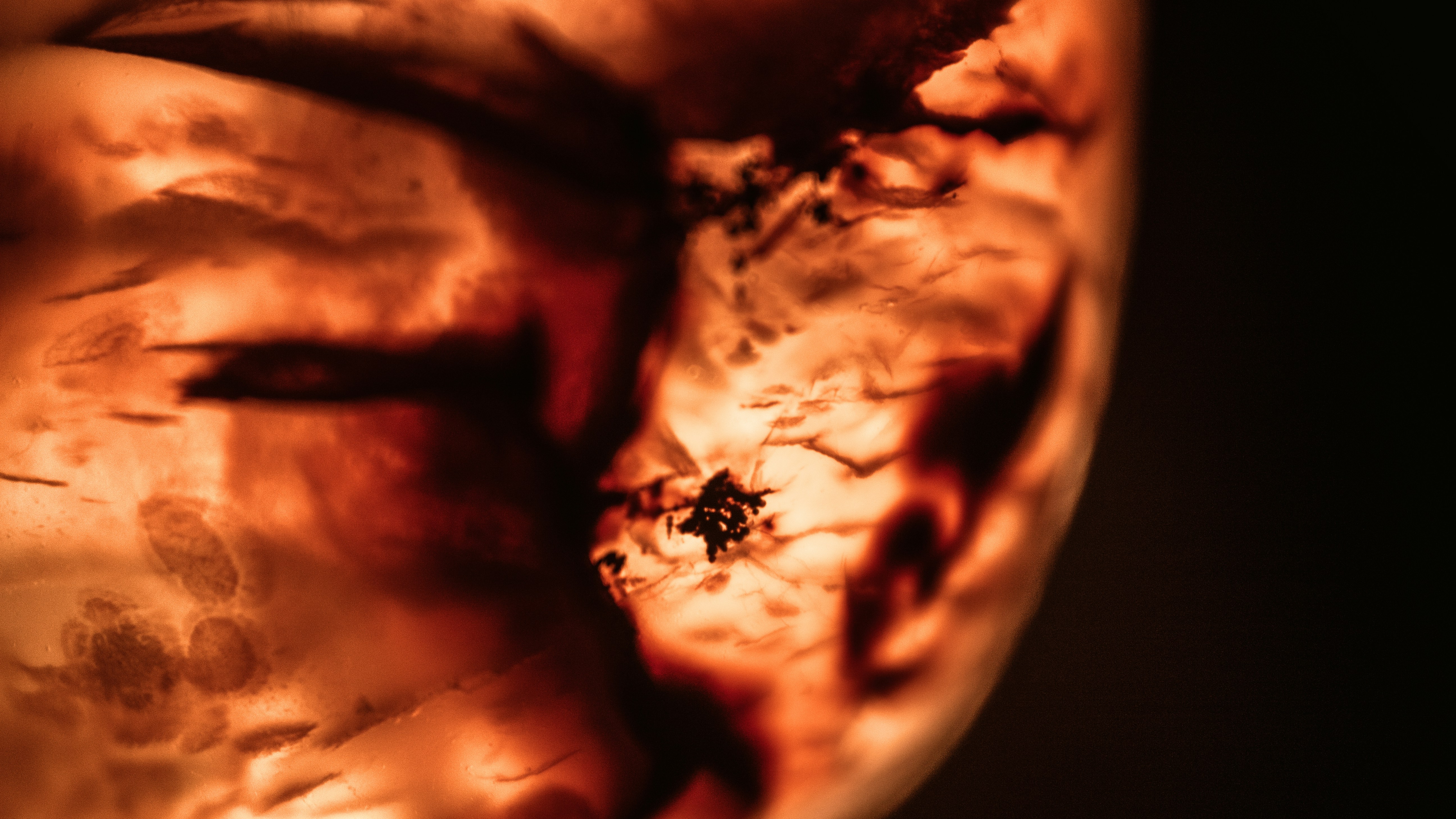 Photo by abstract_ion