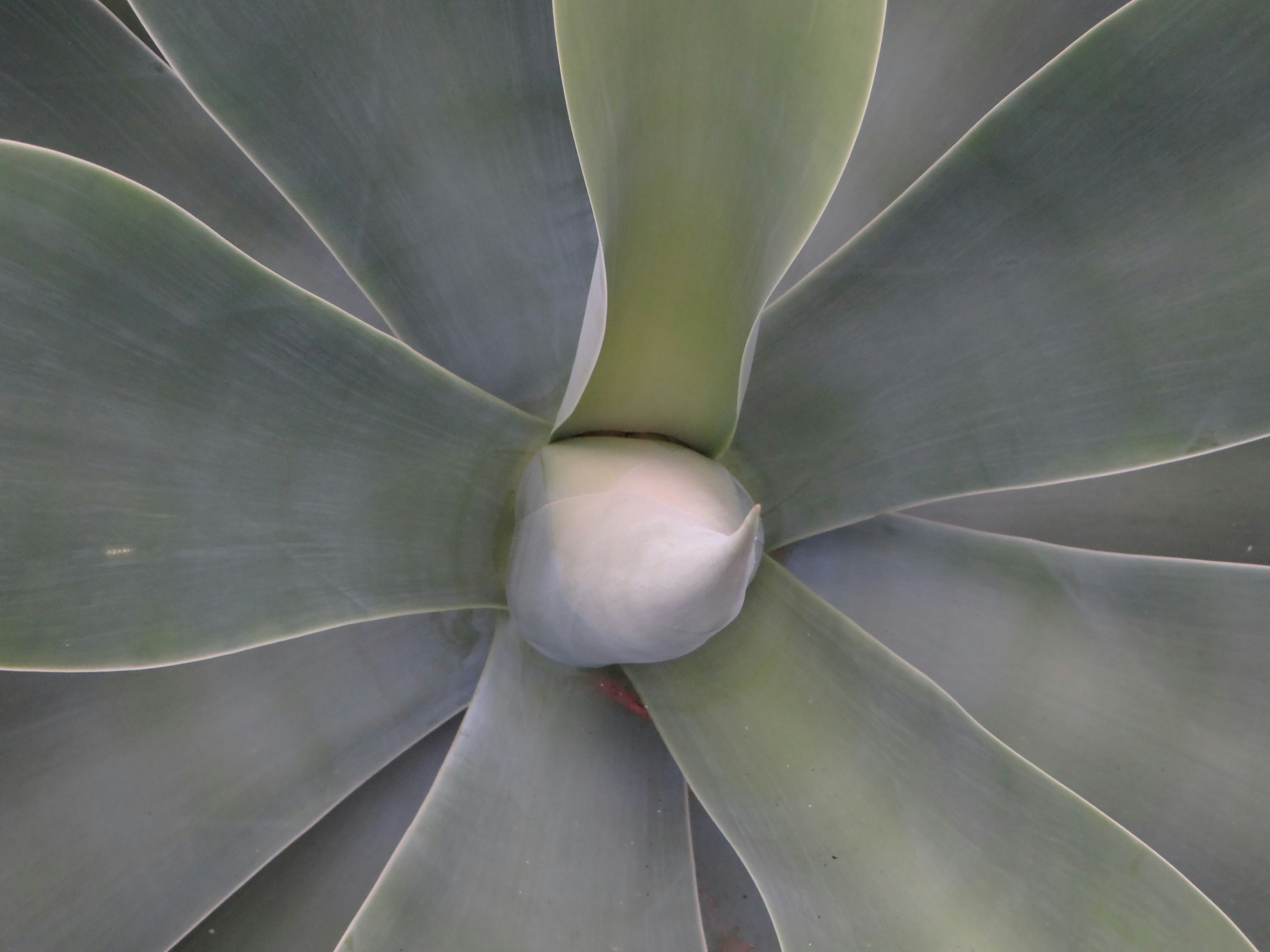 Photo by julia_fiander