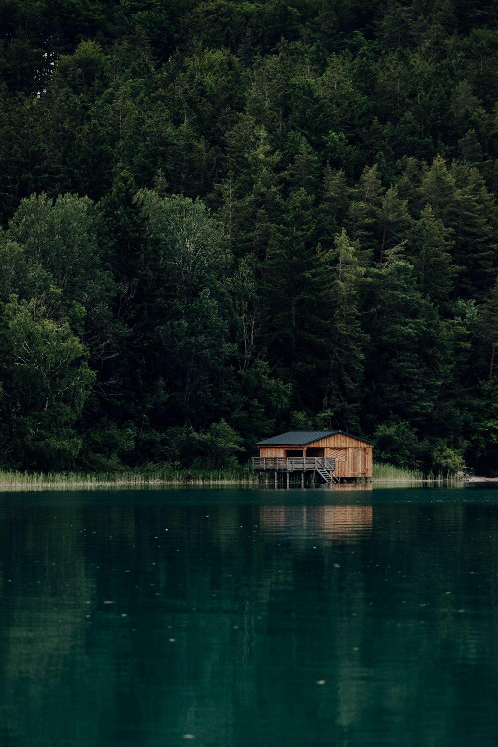 brown wooden house on lake