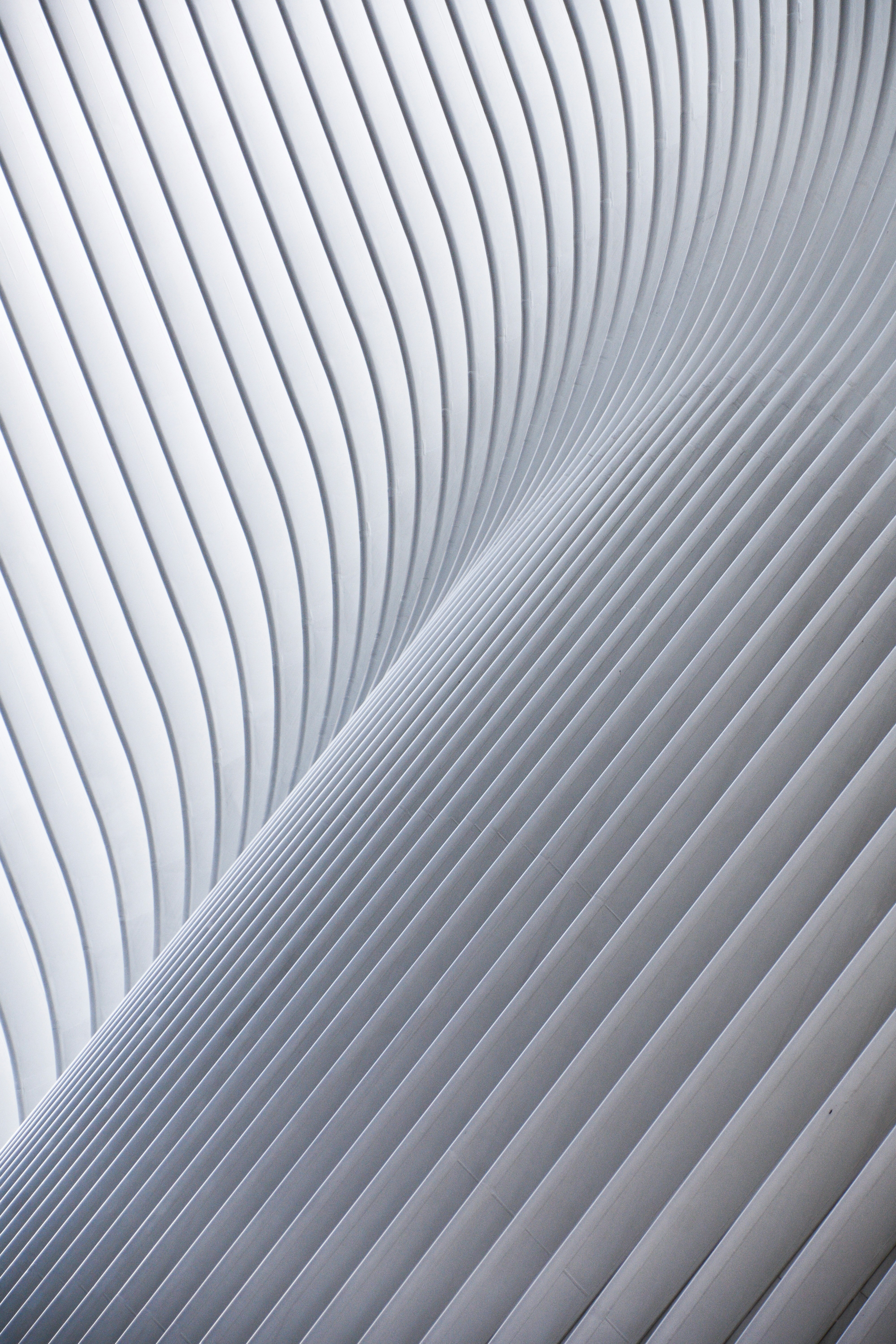 Why Plato Distrusted Writing: The Irony That Shaped Philosophy