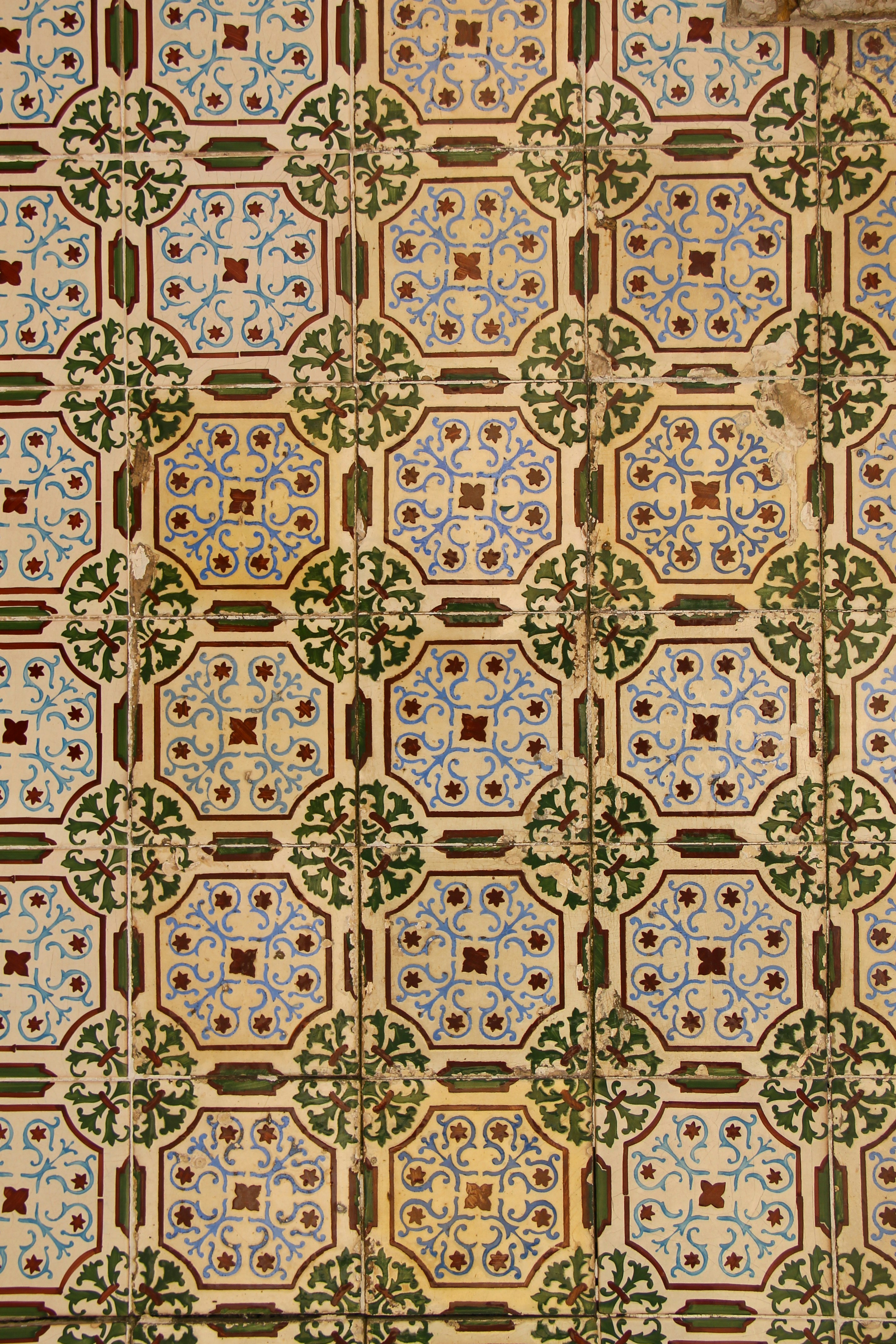 Photo by freguesiadeestrela