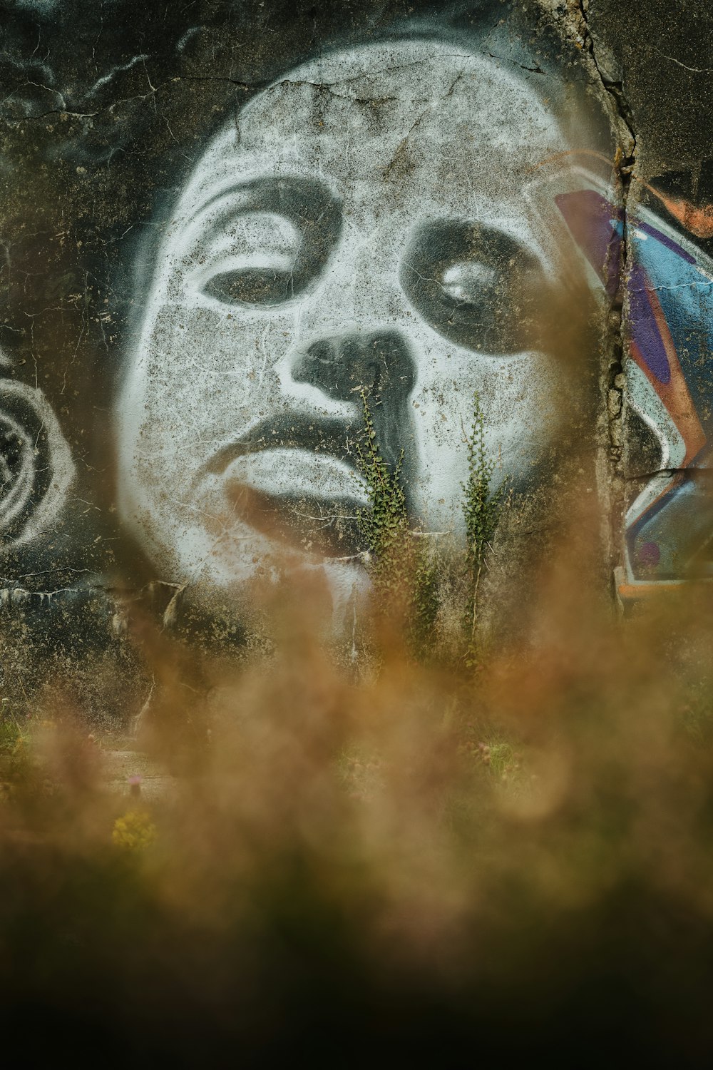 black and white human face painting