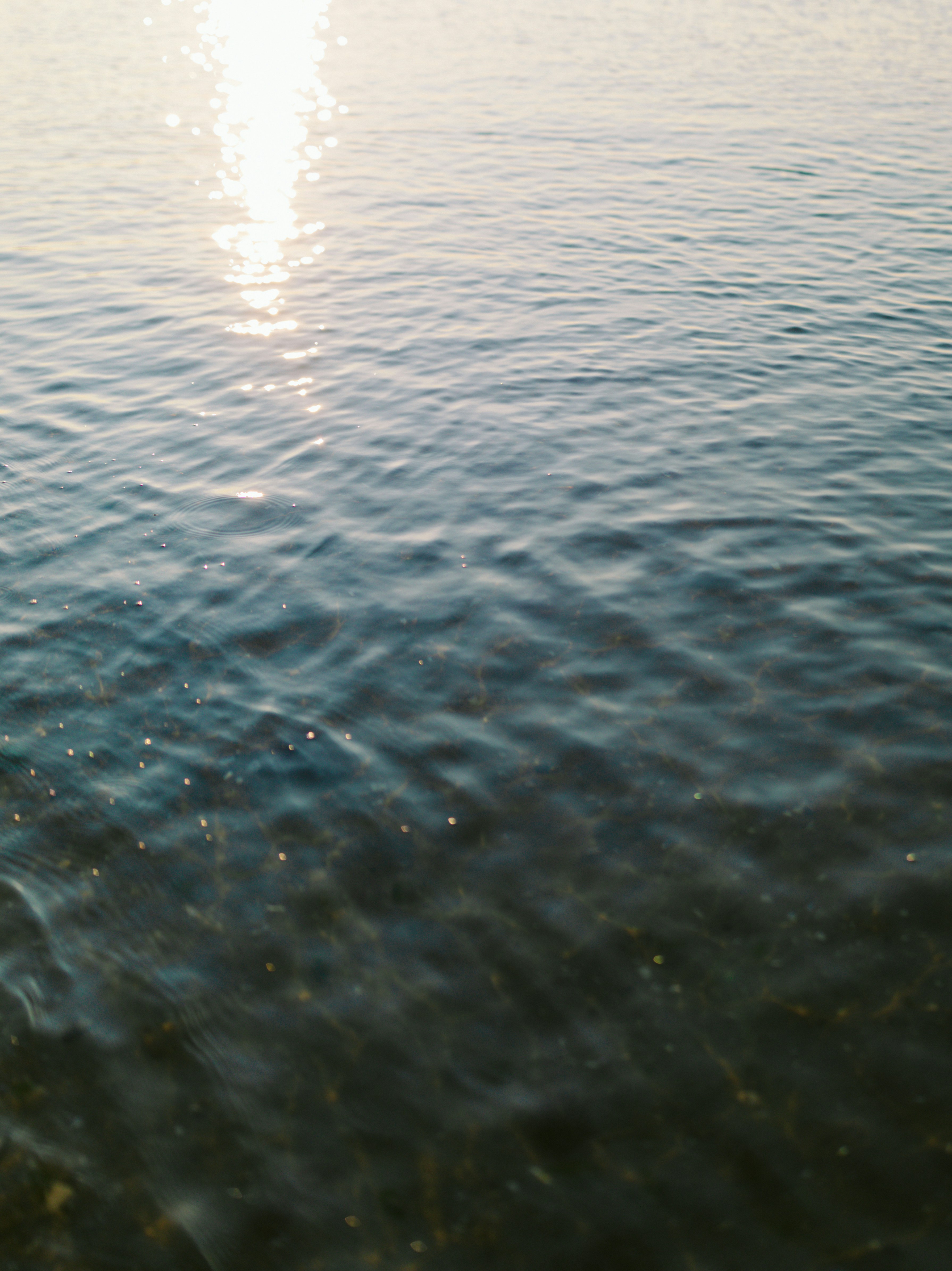 Photo by brittneyweng