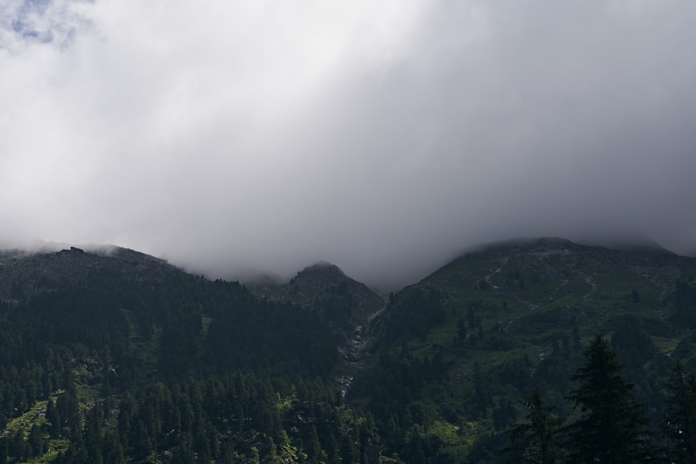 green trees on mountain under white clouds during daytime