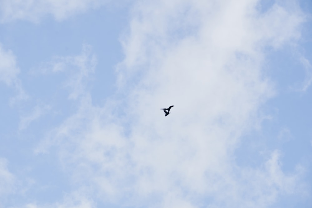 black airplane in mid air under blue sky during daytime