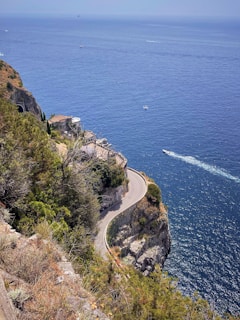green trees on cliff by the sea during daytime