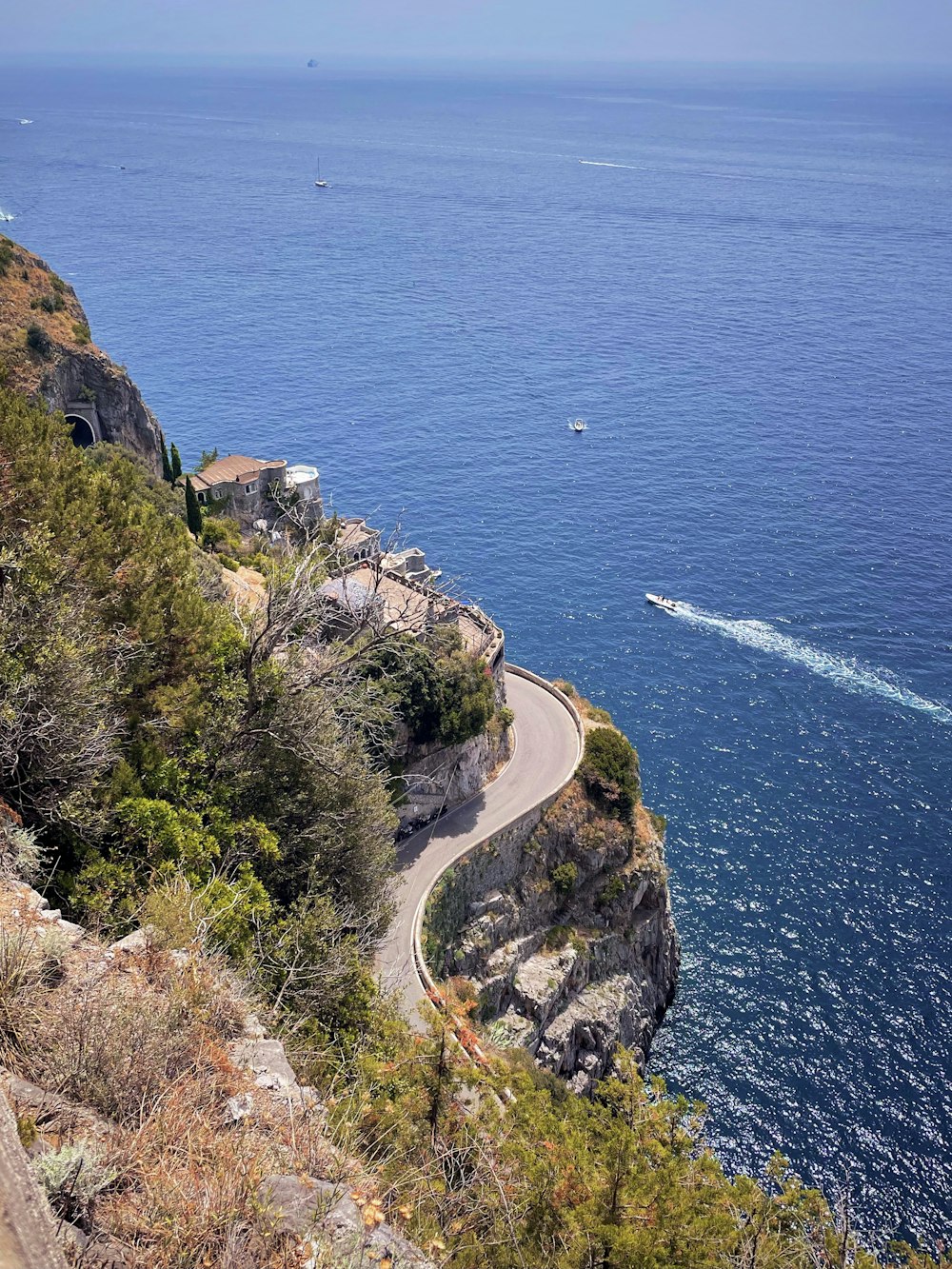 green trees on cliff by the sea during daytime