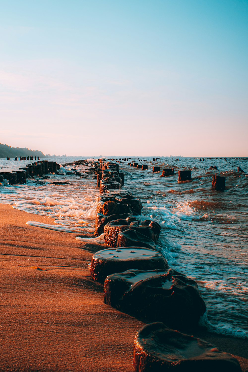 persone che camminano sulla spiaggia durante il giorno