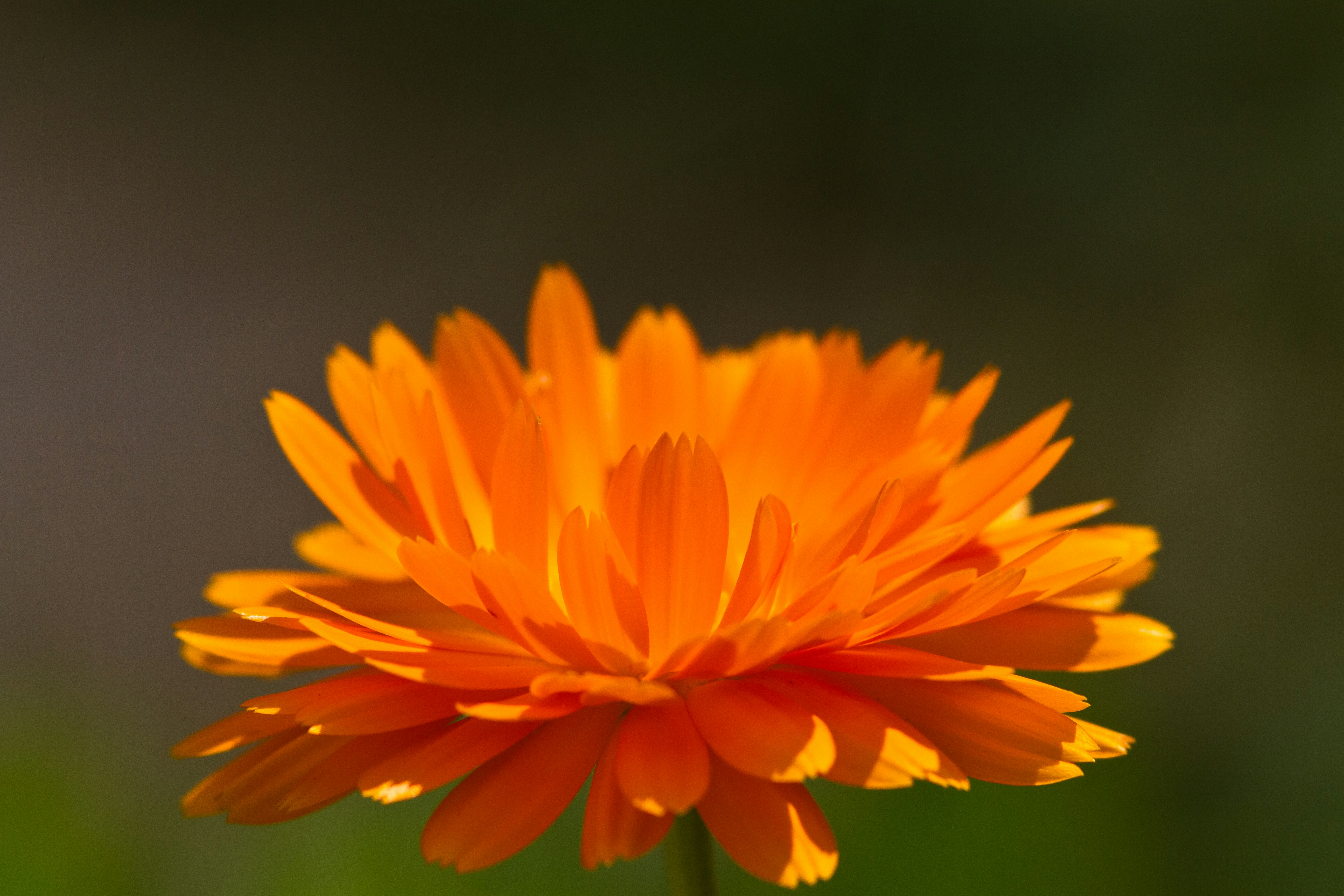 Photo by valentinhintikka