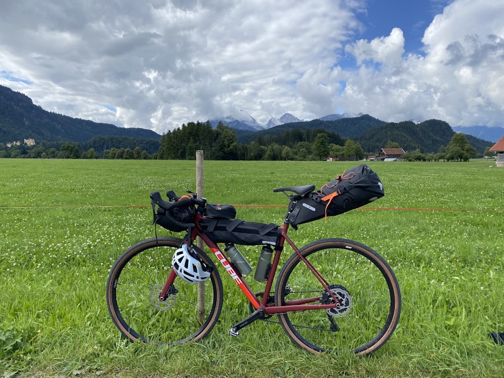 red and black mountain bike on green grass field during daytime