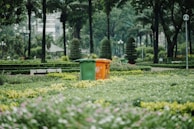 Before and after shots of a park area cleaned up and restored by Unity Drainage Solutions.