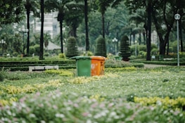 Clean city park with trash bins and people enjoying the green space.
