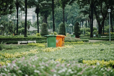 Recycling and trash bins placed neatly in a green park area.
