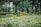 A vibrant community park with recycling bins and clean pathways.
