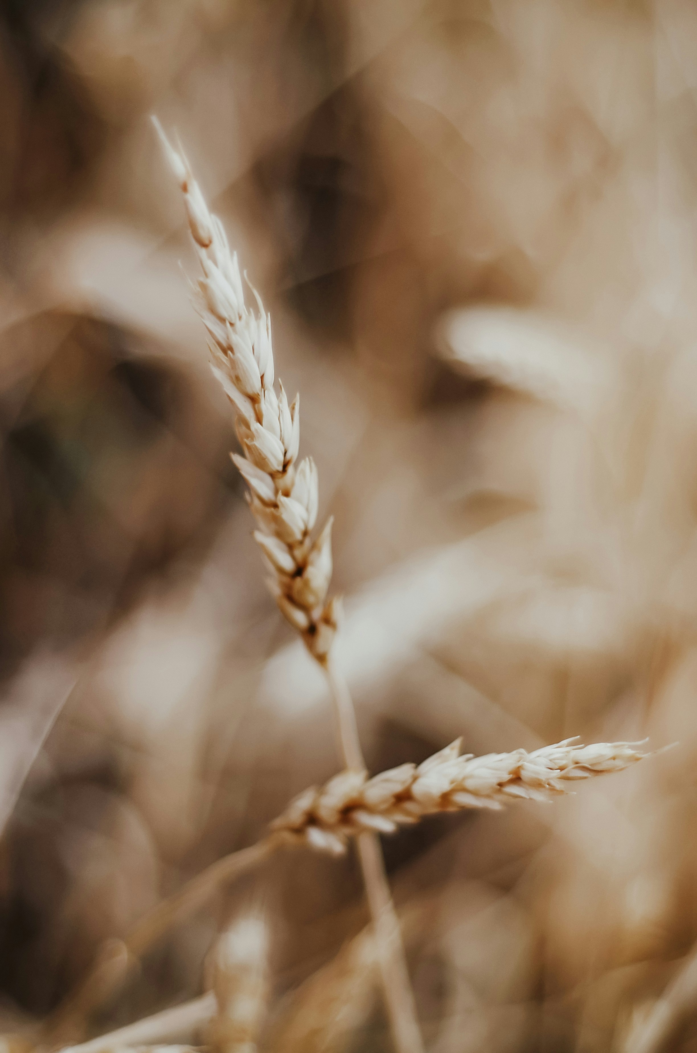 Photo by vechnoeleto