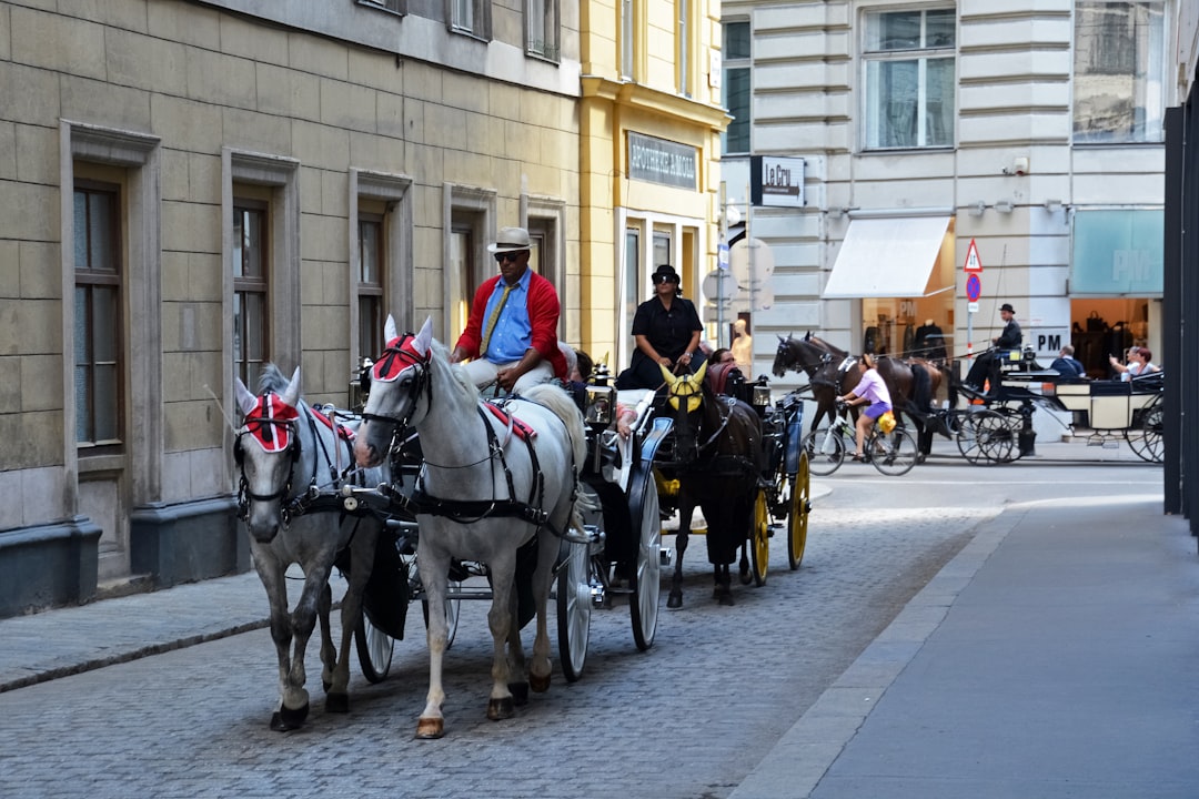 people riding horses on street during daytime